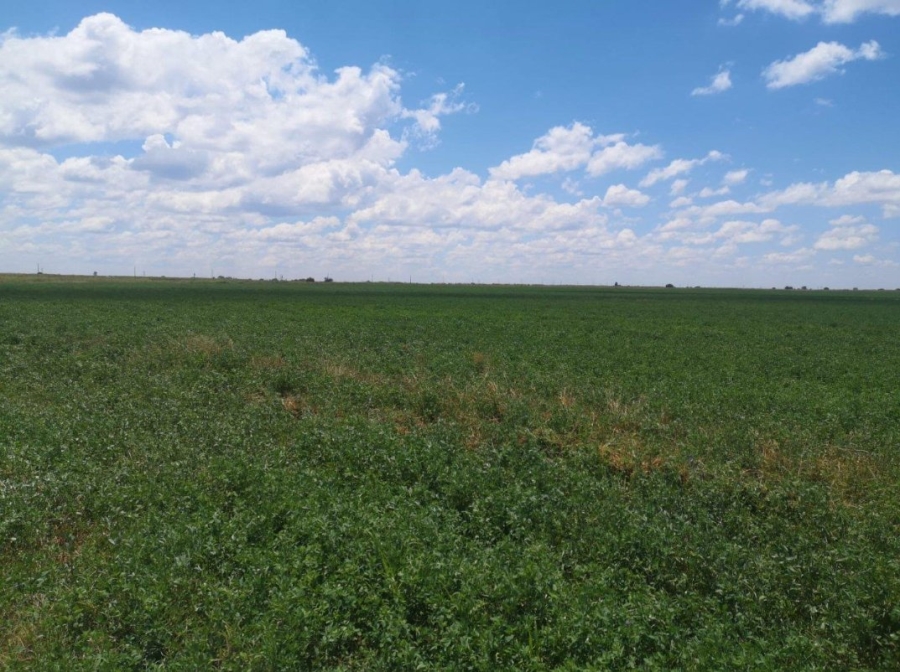 Commercial Property for Sale in Christiana North West